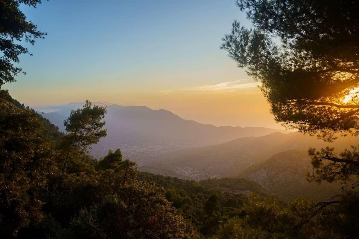 Teren niezagospodarowany na sprzedaż w Mancor de la Vall - 550 000 € (Ref: 9603464)