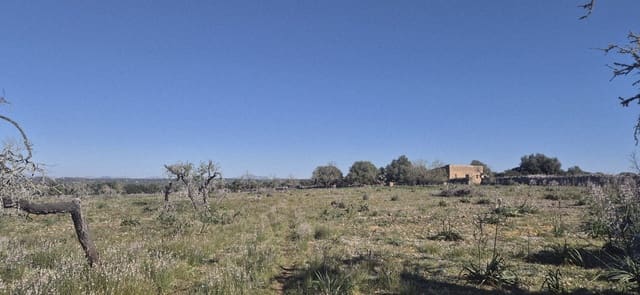 Terreno/Finca Rústica en Ariany en venta - 875.000 € (Ref: 9650648)