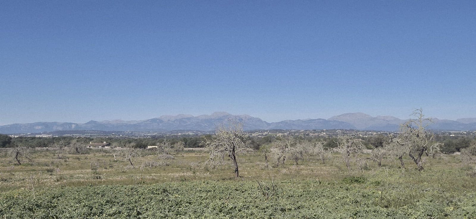 Terreno/Finca Rústica en Ariany en venta - 875.000 € (Ref: 9650648)