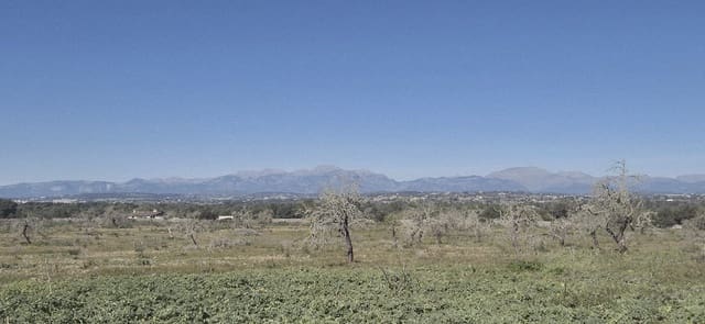 Terreno/Finca Rústica en Ariany en venta - 875.000 € (Ref: 9650648)