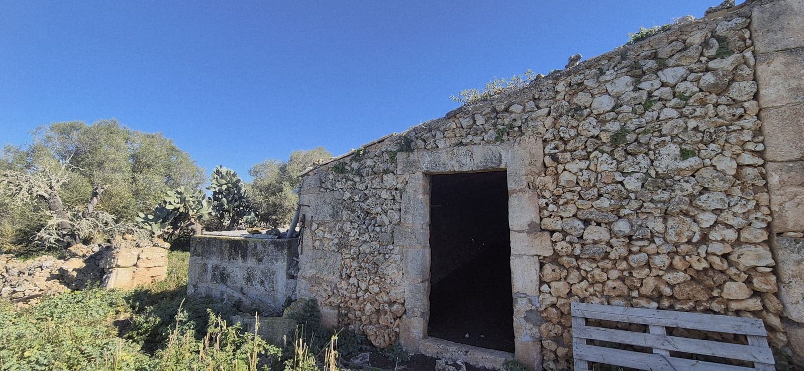 Terreno/Finca Rústica en Ariany en venta - 875.000 € (Ref: 9650648)