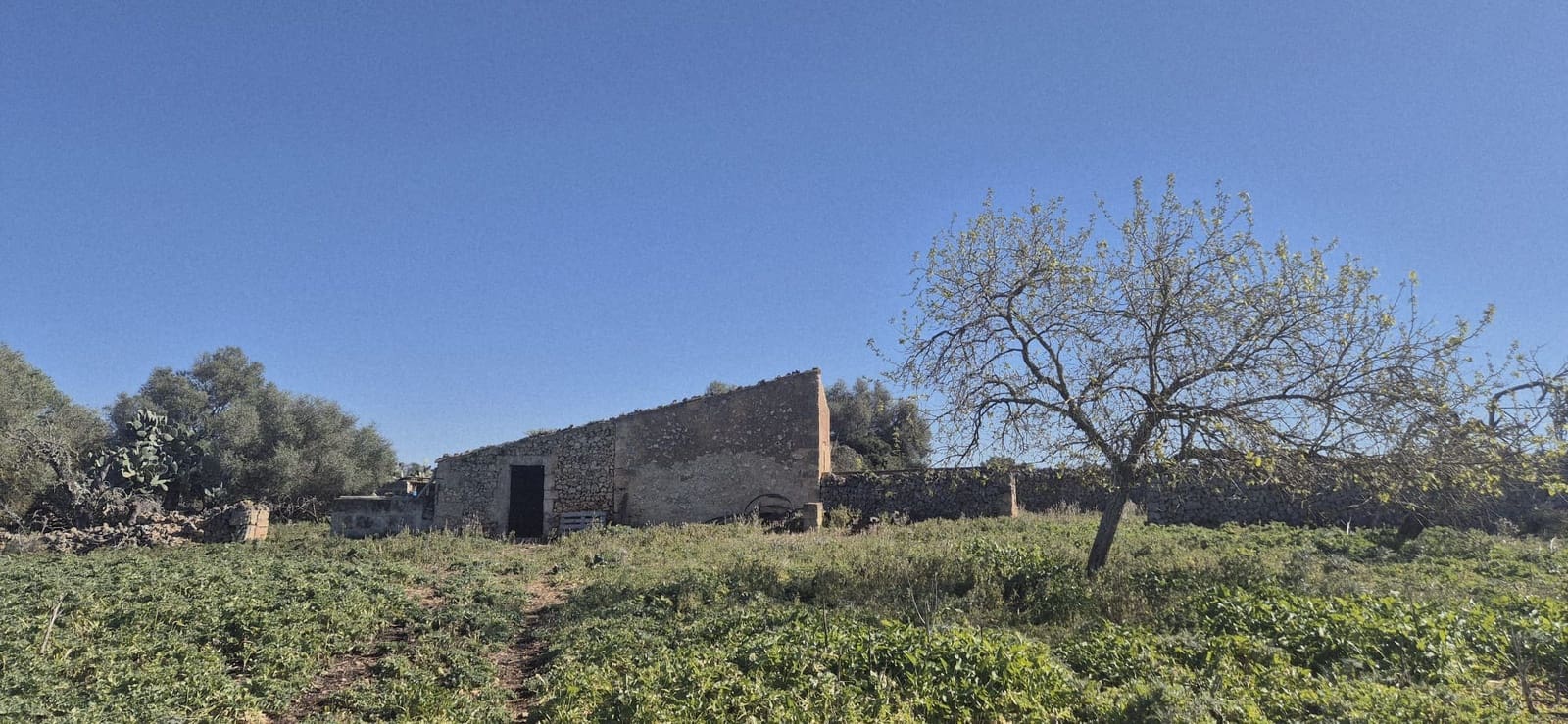 Terreno/Finca Rústica en Ariany en venta - 875.000 € (Ref: 9650648)