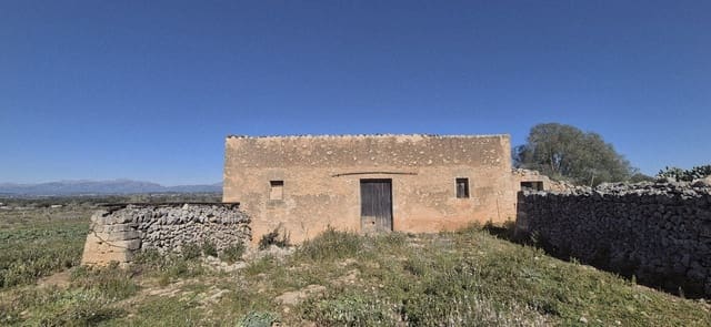 Terreno/Finca Rústica en Ariany en venta - 875.000 € (Ref: 9650648)