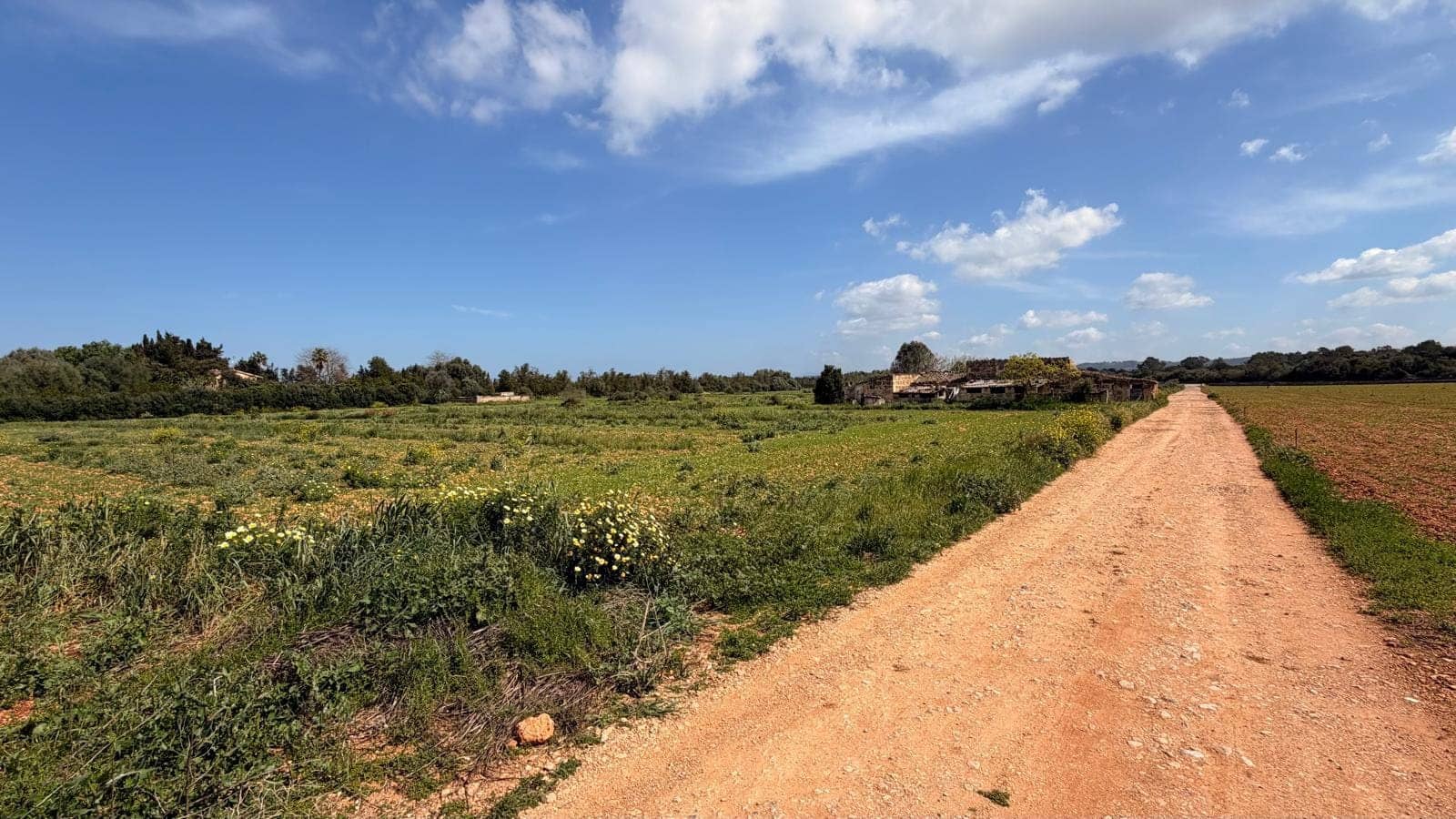 Undeveloped Land for sale in Llubi - € 1,200,000 (Ref: 9726922)