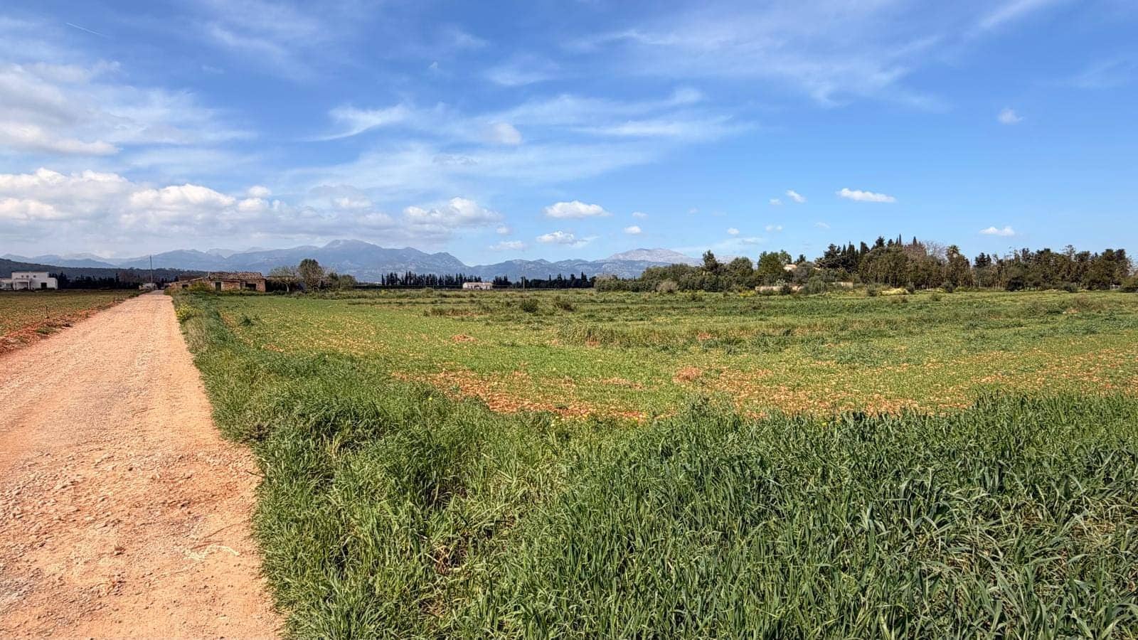 Undeveloped Land for sale in Llubi - € 1,200,000 (Ref: 9726922)