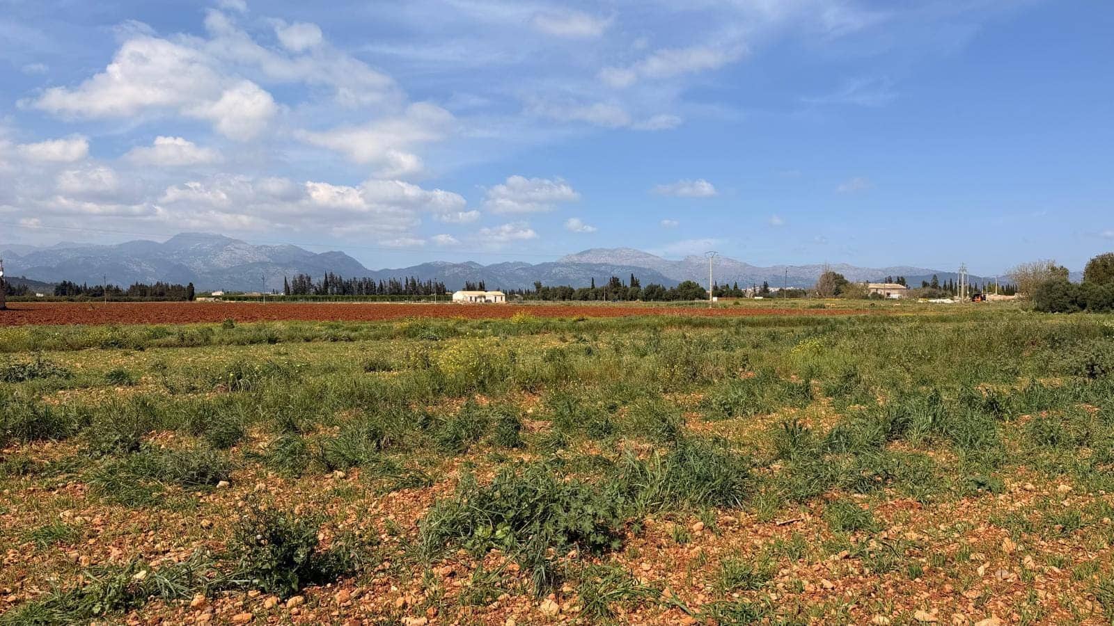 Undeveloped Land for sale in Llubi - € 1,200,000 (Ref: 9726922)