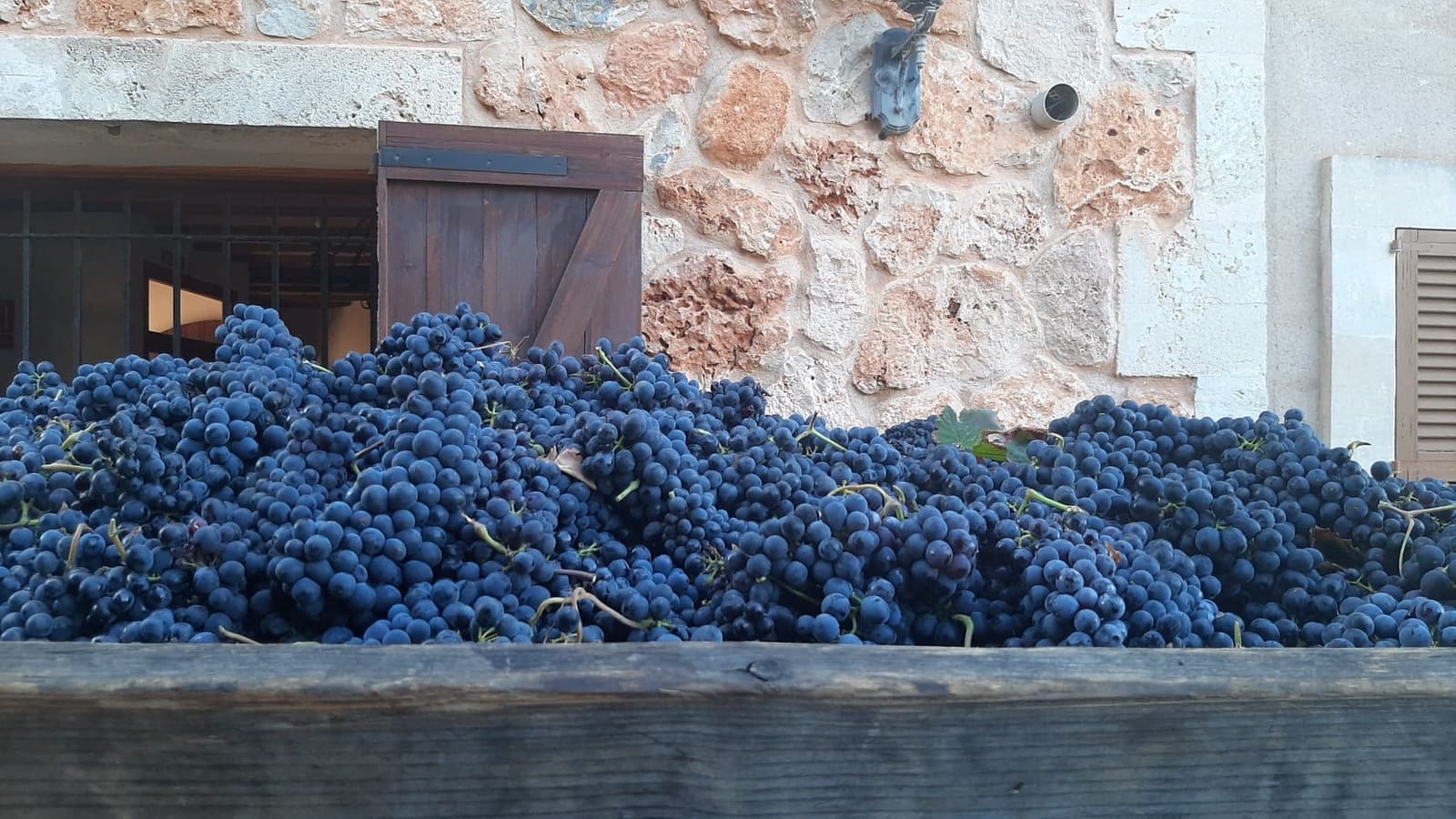 Kommersiell til salgs i Binissalem - € 2 350 000 (Ref: 9764883)