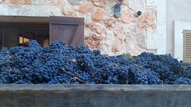 Komercyjne na sprzedaż w Binissalem - 2 350 000 € (Ref: 9764883)