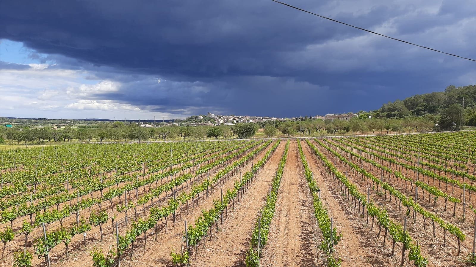 Kommersiell til salgs i Binissalem - € 2 350 000 (Ref: 9764883)