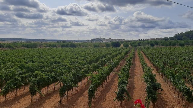 Komercyjne na sprzedaż w Binissalem - 2 350 000 € (Ref: 9764883)