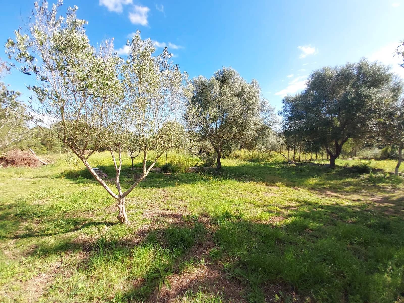 1 soveværelse Finca/Landehus til leje i Muro med swimmingpool garage - € 1.500 (Ref: 9772440)