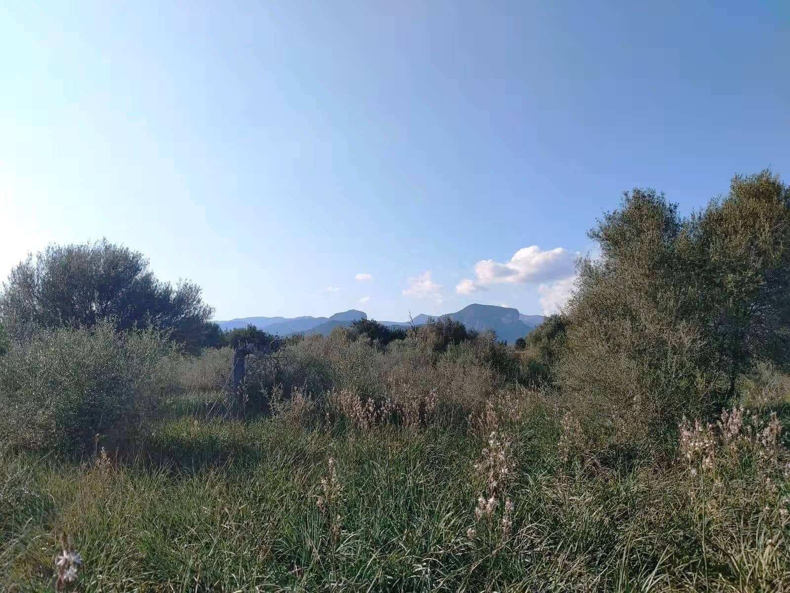 Quinta/Casa Rural para venda em Binissalem com piscina - 450 000 € (Ref: 9858642)