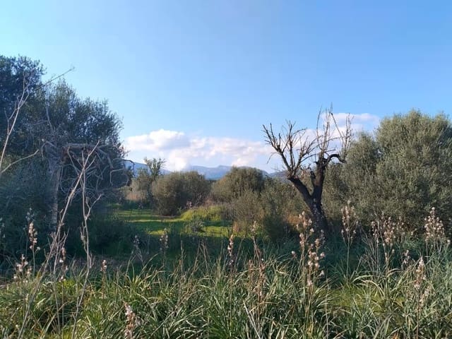 Quinta/Casa Rural para venda em Binissalem com piscina - 450 000 € (Ref: 9858642)