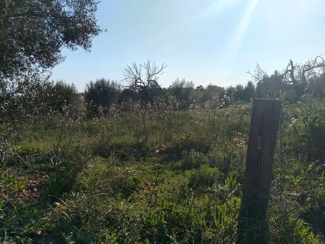 Quinta/Casa Rural para venda em Binissalem com piscina - 450 000 € (Ref: 9858642)