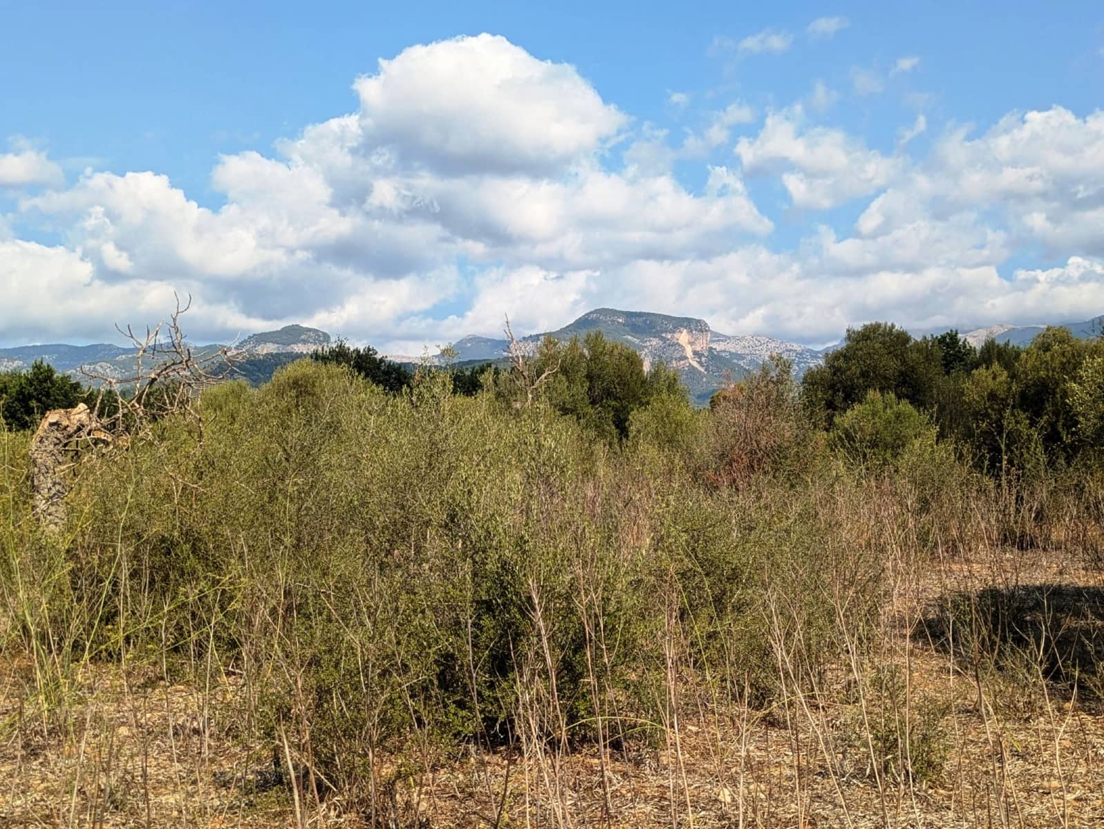 Quinta/Casa Rural para venda em Binissalem com piscina - 450 000 € (Ref: 9858642)