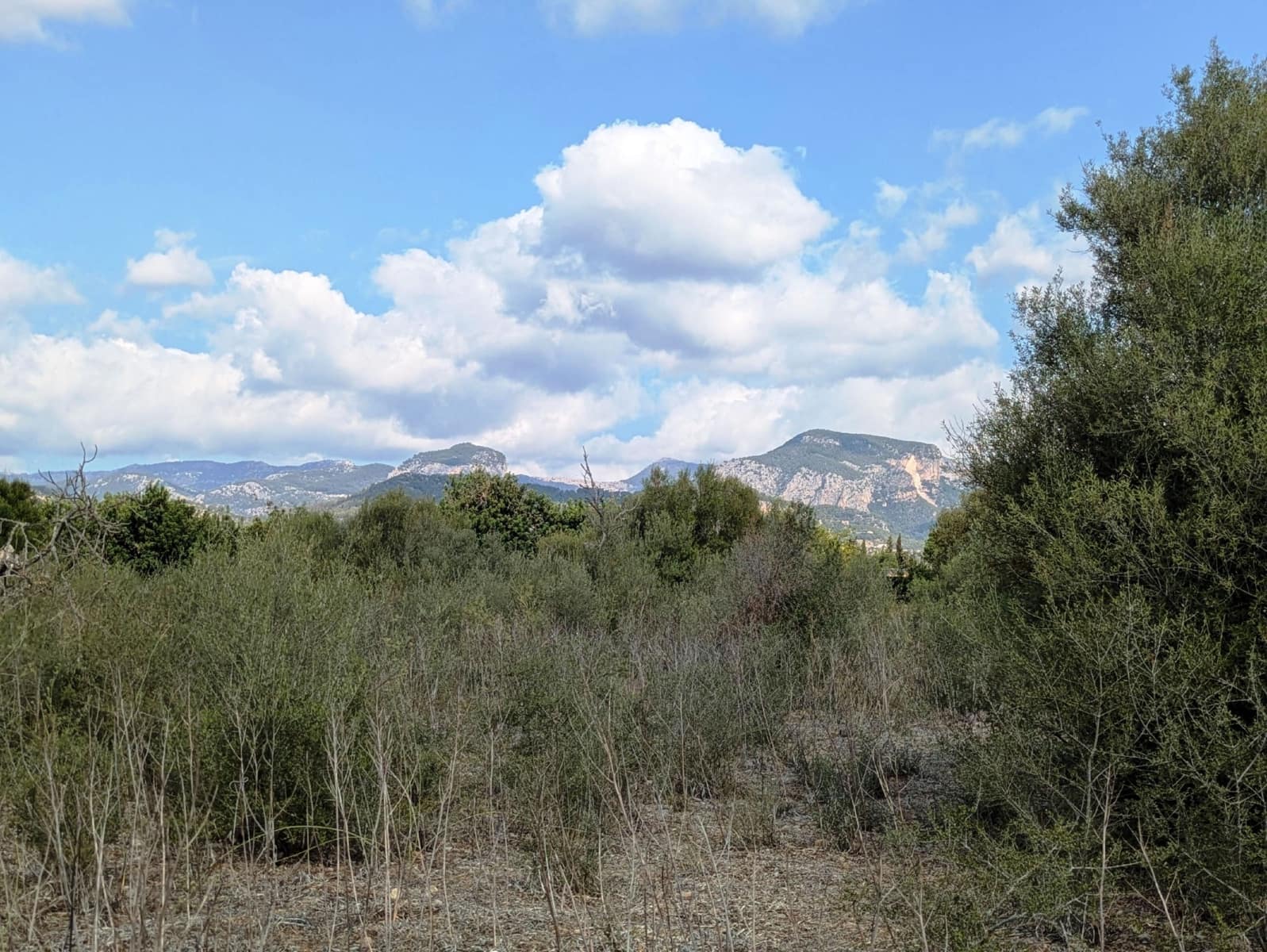 Quinta/Casa Rural para venda em Binissalem com piscina - 450 000 € (Ref: 9858642)