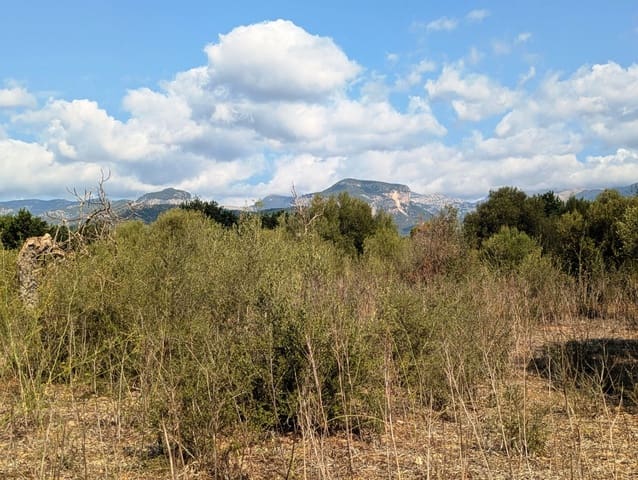 Quinta/Casa Rural para venda em Binissalem com piscina - 450 000 € (Ref: 9858642)