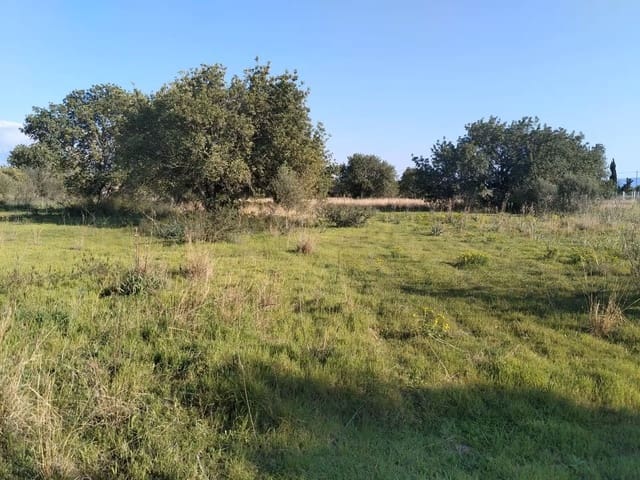 Quinta/Casa Rural para venda em Binissalem com piscina - 450 000 € (Ref: 9858642)