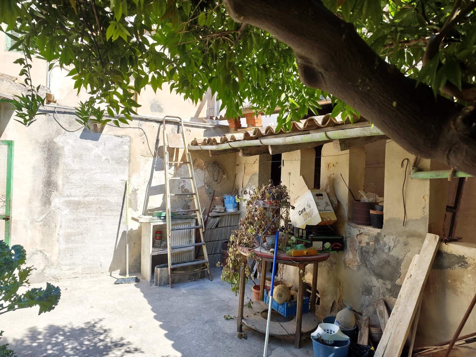 Ubebygd land til salgs i Inca - € 300 000 (Ref: 9866150)