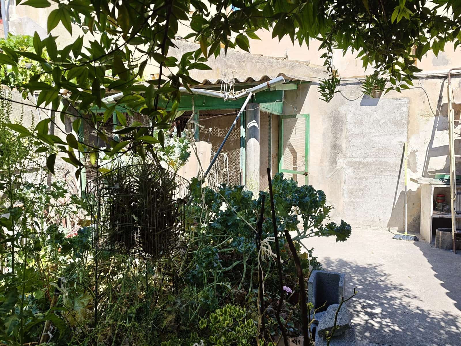 Ubebygd land til salgs i Inca - € 300 000 (Ref: 9866150)