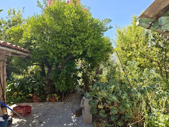 Ubebygd land til salgs i Inca - € 300 000 (Ref: 9866150)