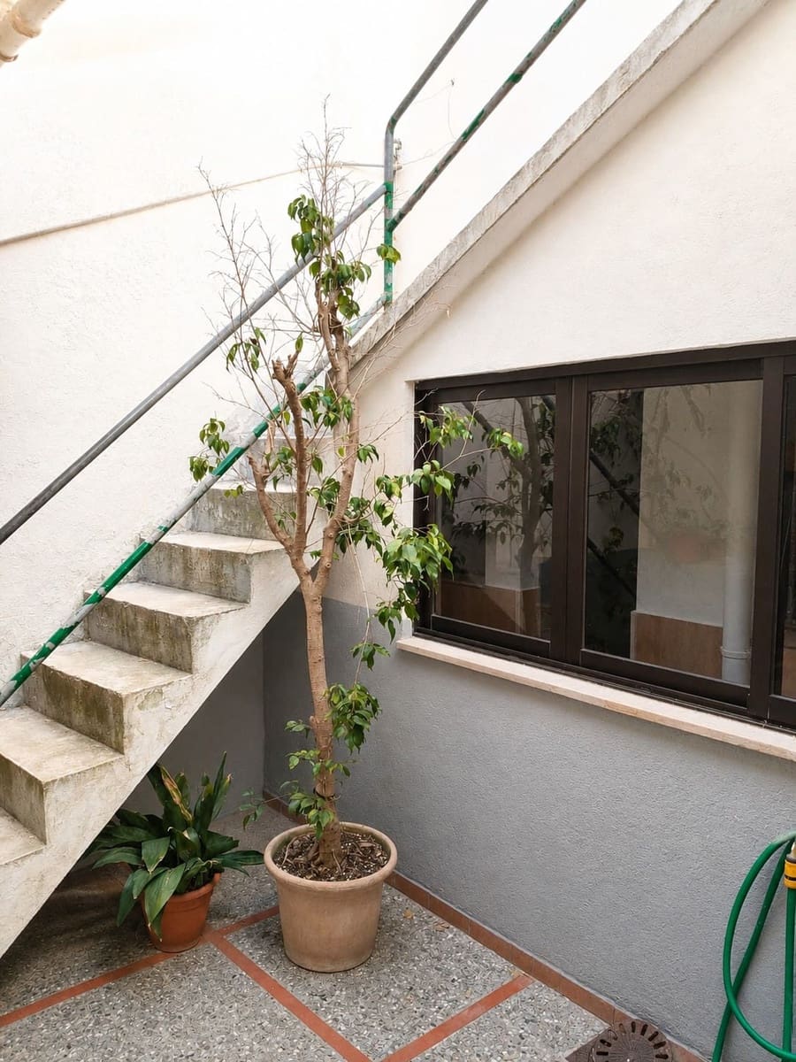 Casa de 5 habitaciones en Pollensa / Pollença en venta - 595.000 € (Ref: 9921394)