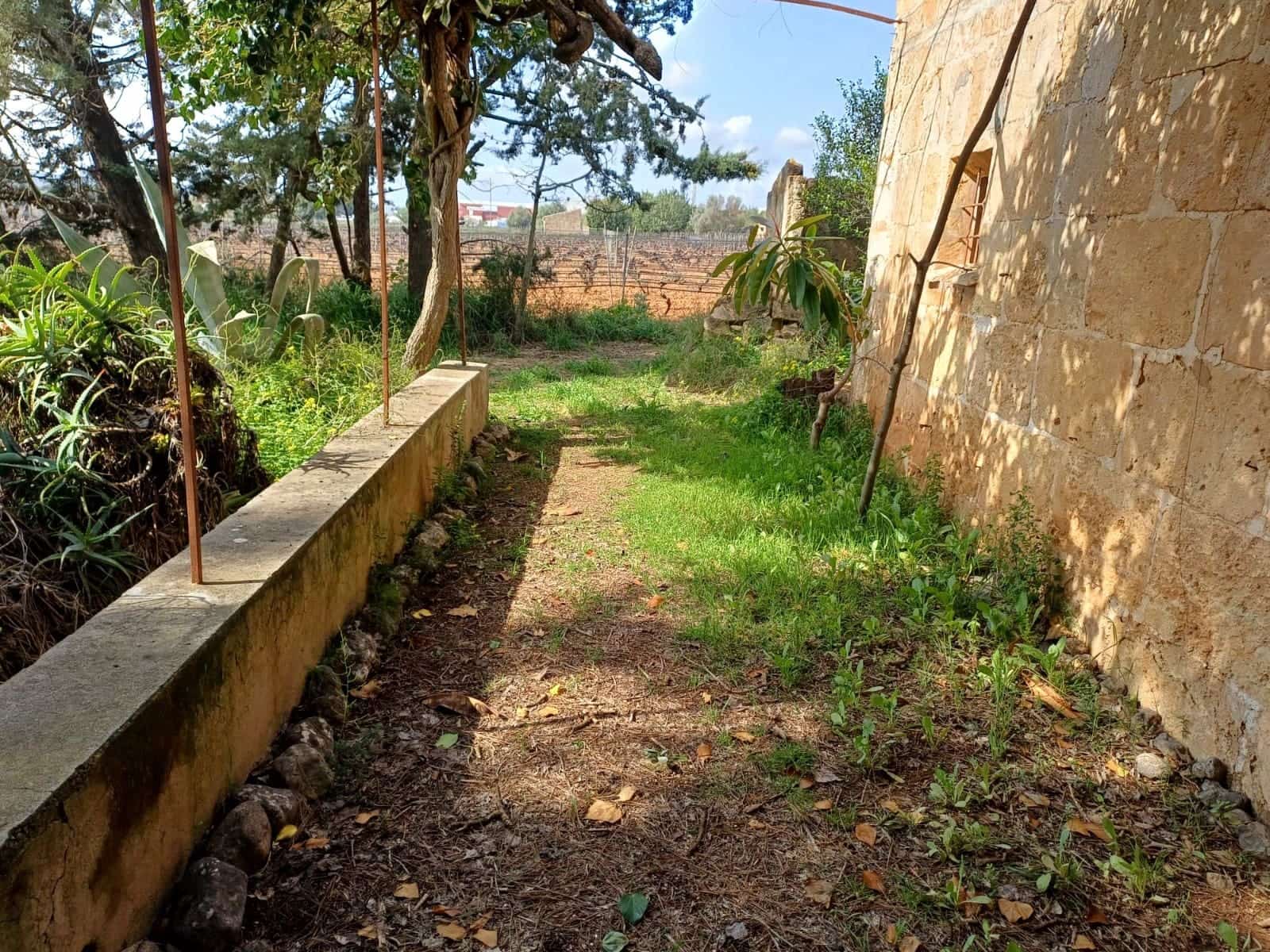 Grunde uden byggetilladelser til salg i Santa Maria del Cami - € 529.000 (Ref: 9921396)