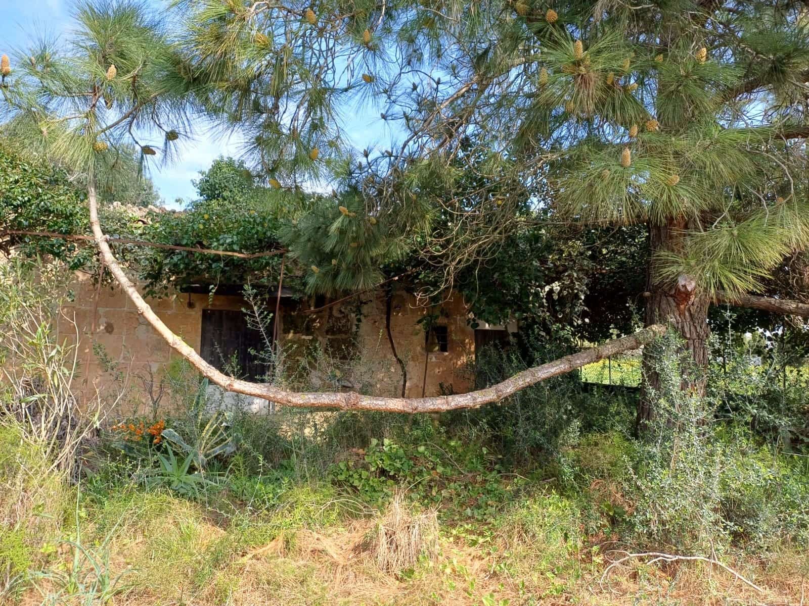 Grunde uden byggetilladelser til salg i Santa Maria del Cami - € 529.000 (Ref: 9921396)