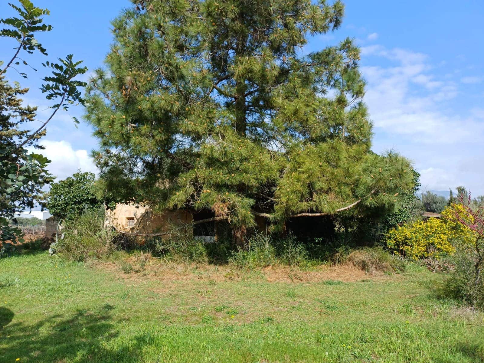 Grunde uden byggetilladelser til salg i Santa Maria del Cami - € 529.000 (Ref: 9921396)