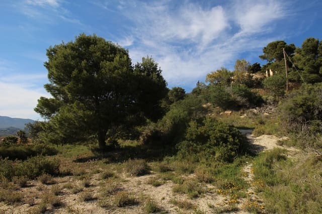 Teren niezagospodarowany na sprzedaż w Calpe / Calp - 225 000 € (Ref: 7990816)