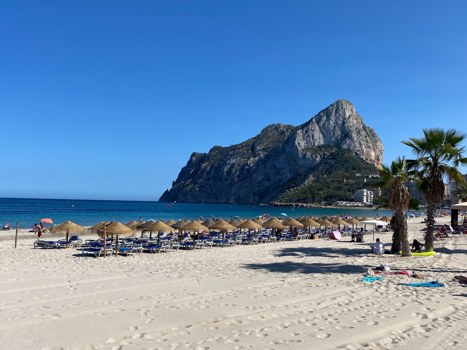 1 bedroom Apartment for rent in Calpe / Calp - € 900 (Ref: 9433026)