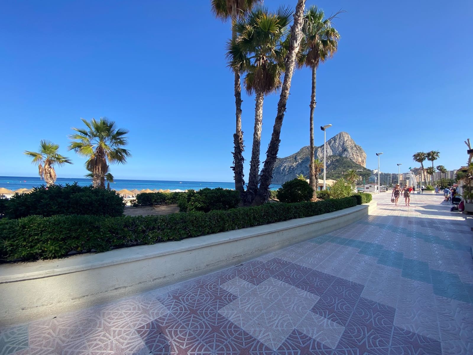 1 bedroom Apartment for rent in Calpe / Calp - € 900 (Ref: 9433026)