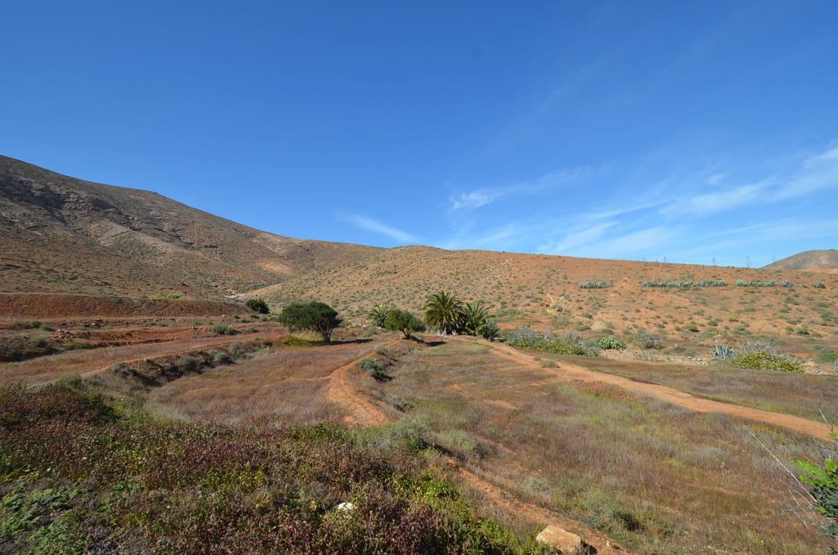 16 soveværelse Finca/Landehus til salg i Betancuria med swimmingpool garage - € 2.950.000 (Ref: 3835453)