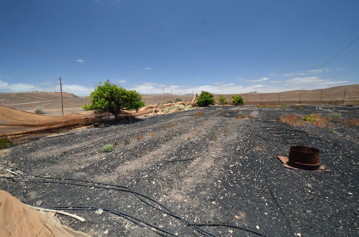 6 soveværelse Finca/Landehus til salg i Gran Tarajal med garage - € 950.000 (Ref: 6977656)