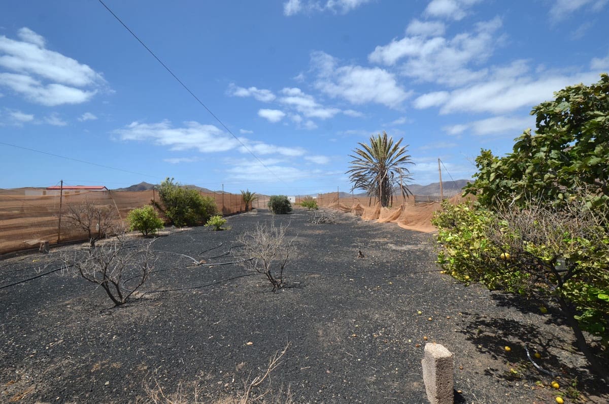 6 soveværelse Finca/Landehus til salg i Gran Tarajal med garage - € 950.000 (Ref: 6977656)