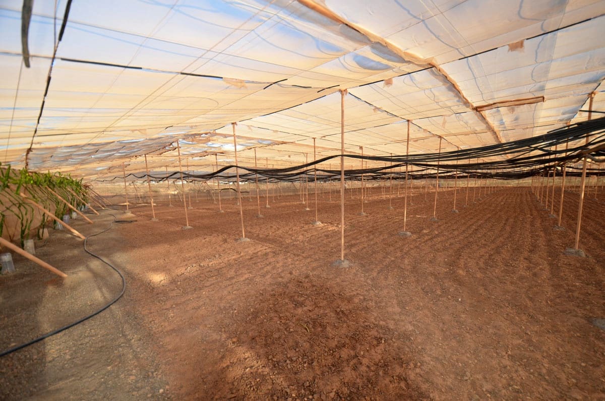 3 soveværelse Finca/Landehus til salg i Tuineje med garage - € 325.000 (Ref: 8122900)