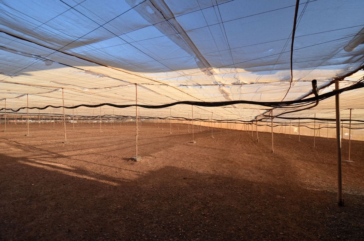 3 soveværelse Finca/Landehus til salg i Tuineje med garage - € 325.000 (Ref: 8122900)