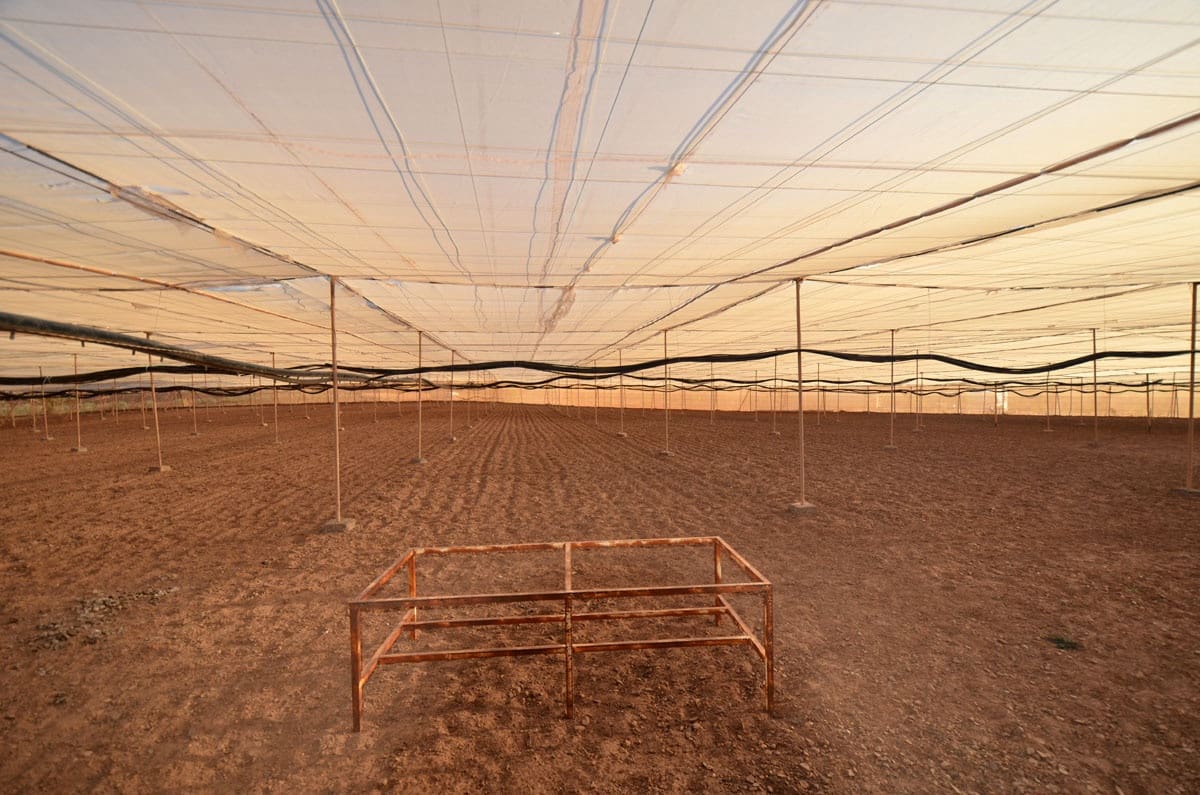 3 soveværelse Finca/Landehus til salg i Tuineje med garage - € 325.000 (Ref: 8122900)