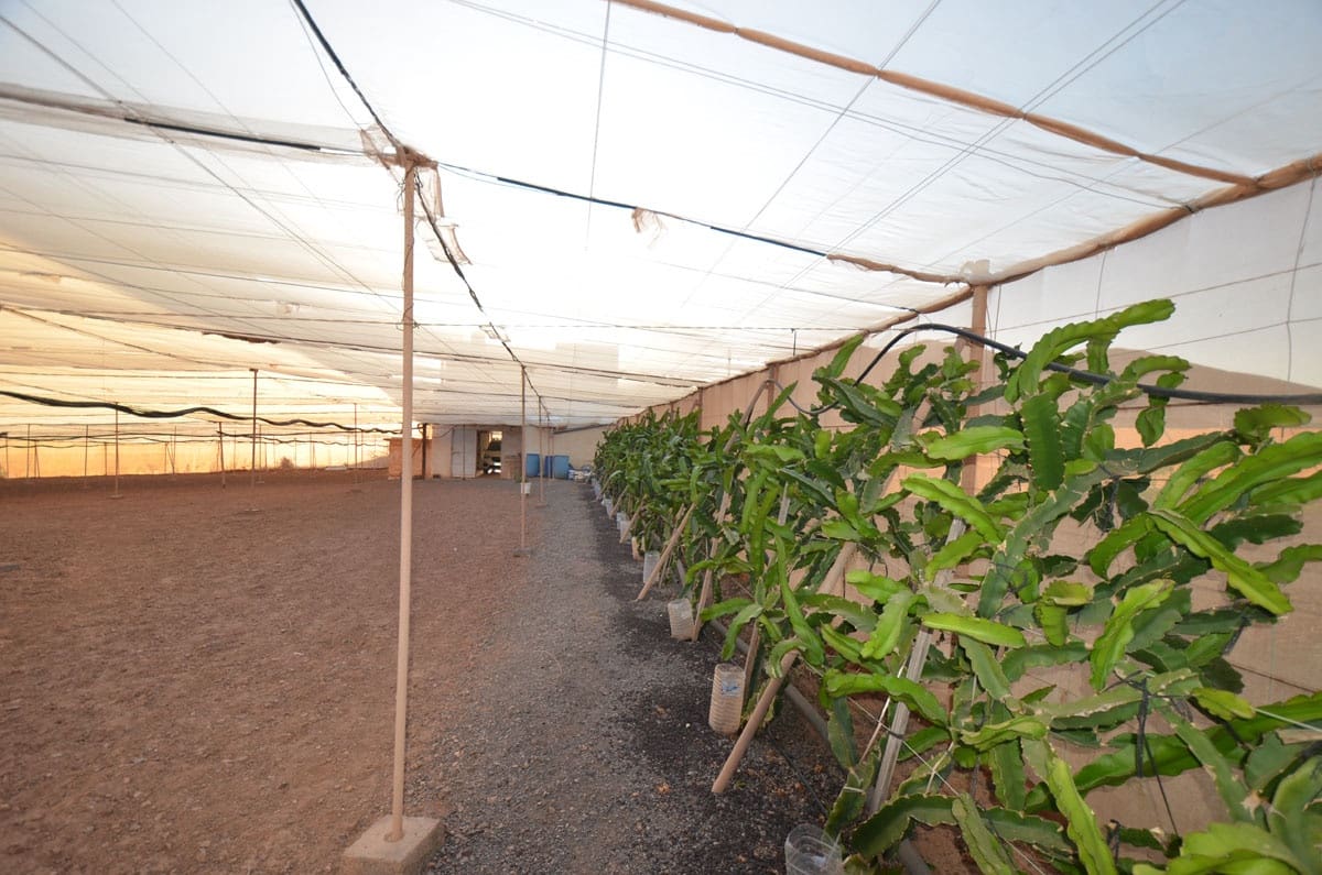 3 soveværelse Finca/Landehus til salg i Tuineje med garage - € 325.000 (Ref: 8122900)