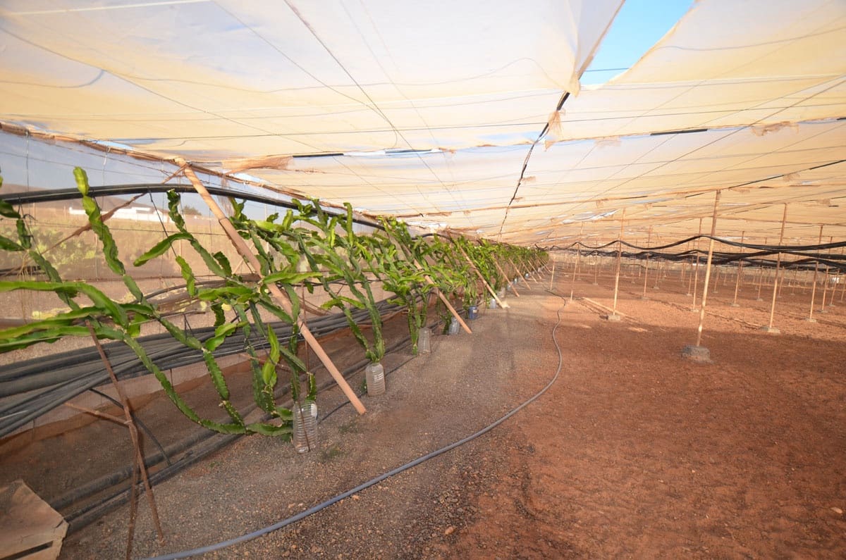 3 soveværelse Finca/Landehus til salg i Tuineje med garage - € 325.000 (Ref: 8122900)