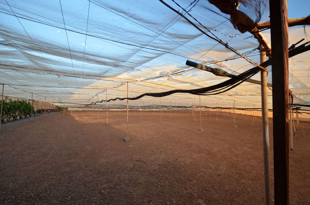 3 soveværelse Finca/Landehus til salg i Tuineje med garage - € 325.000 (Ref: 8122900)