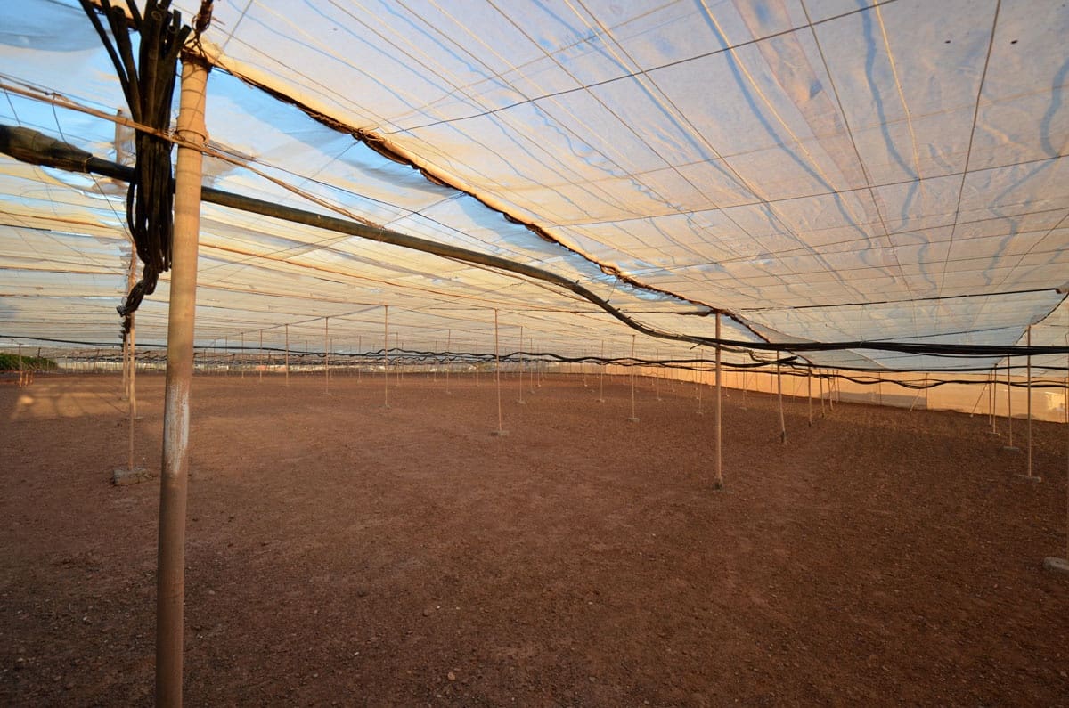 3 soveværelse Finca/Landehus til salg i Tuineje med garage - € 325.000 (Ref: 8122900)