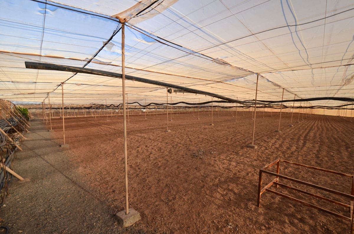 3 soveværelse Finca/Landehus til salg i Tuineje med garage - € 325.000 (Ref: 8122900)