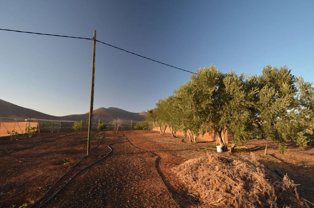 3 soveværelse Finca/Landehus til salg i Tuineje med garage - € 325.000 (Ref: 8122900)