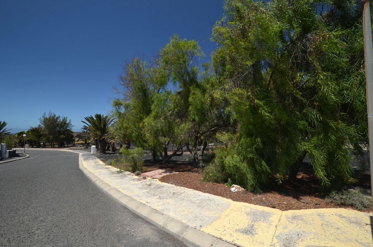 Grunde uden byggetilladelser til salg i La Pared - € 120.000 (Ref: 8447756)