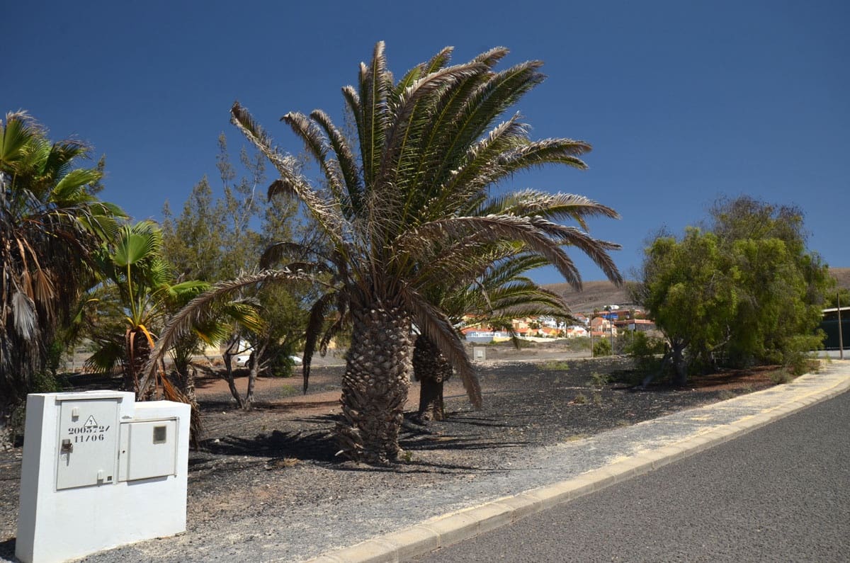 Grunde uden byggetilladelser til salg i La Pared - € 120.000 (Ref: 8447756)