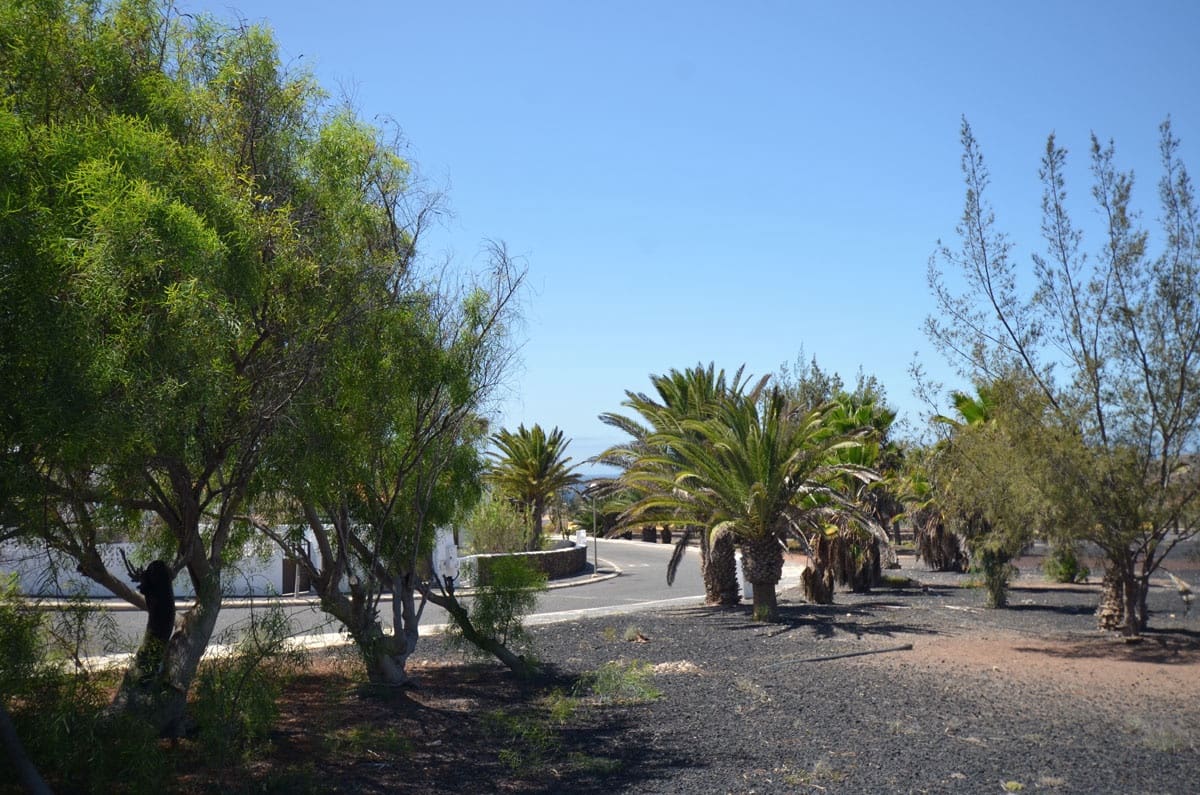 Grunde uden byggetilladelser til salg i La Pared - € 120.000 (Ref: 8447756)