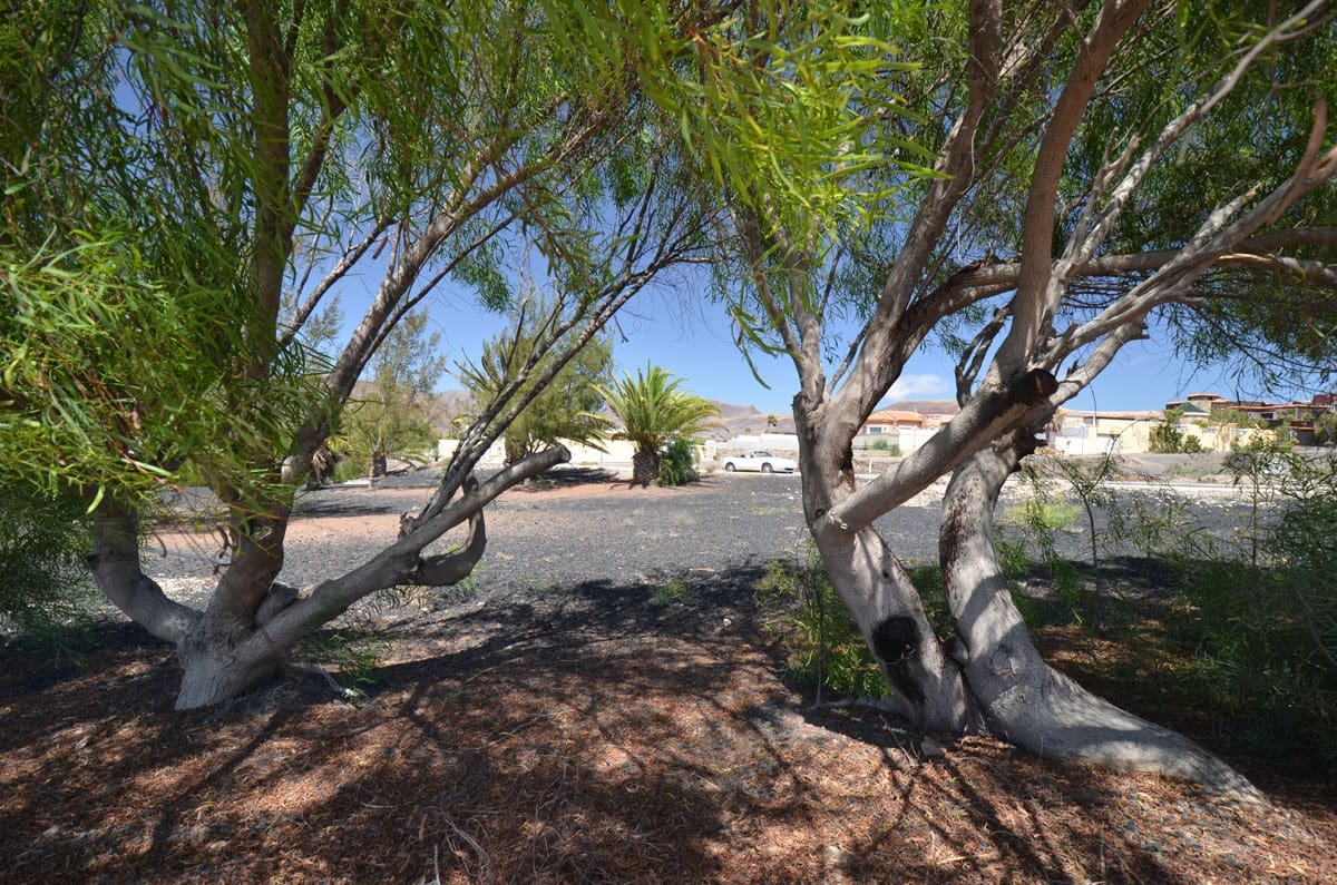 Grunde uden byggetilladelser til salg i La Pared - € 120.000 (Ref: 8447756)