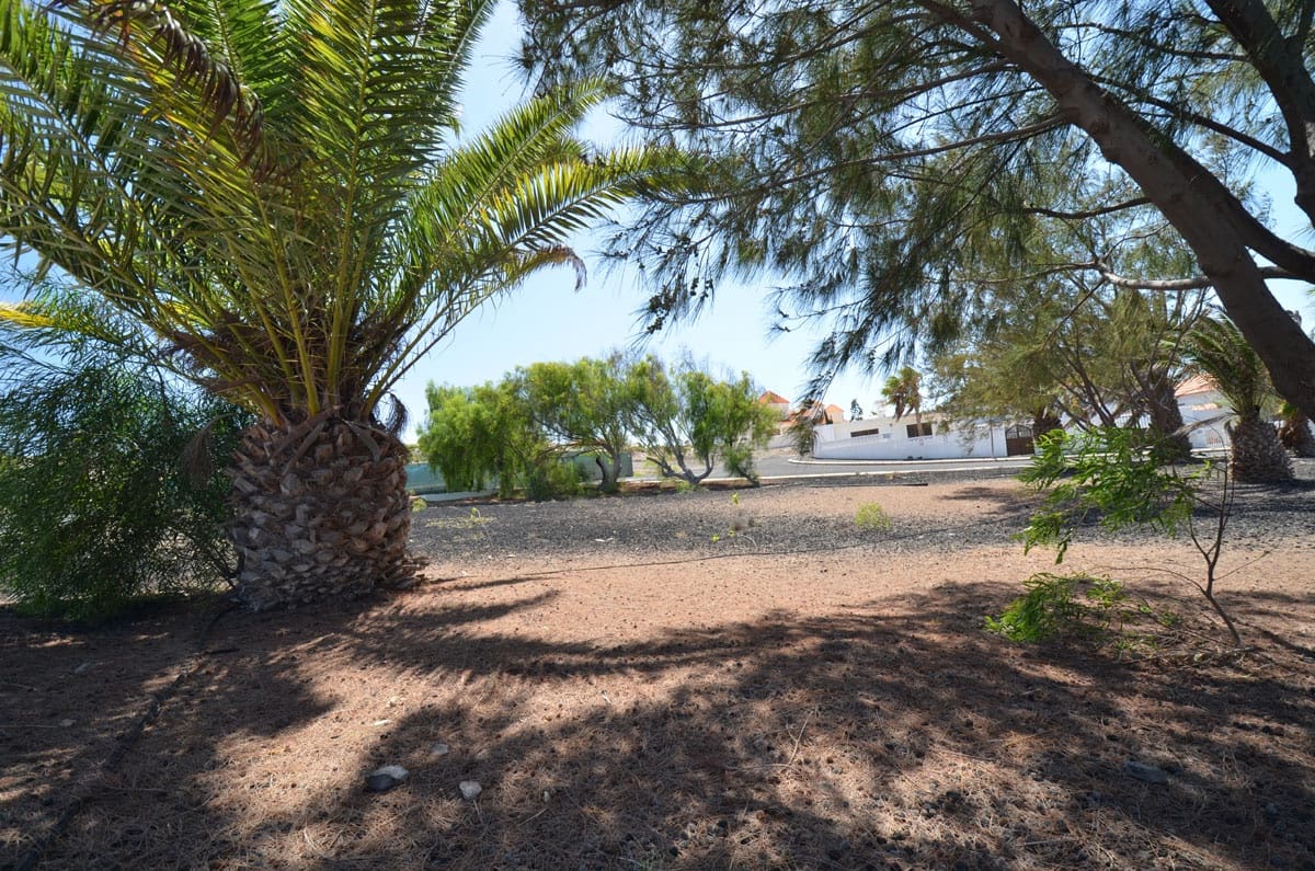 Grunde uden byggetilladelser til salg i La Pared - € 120.000 (Ref: 8447756)