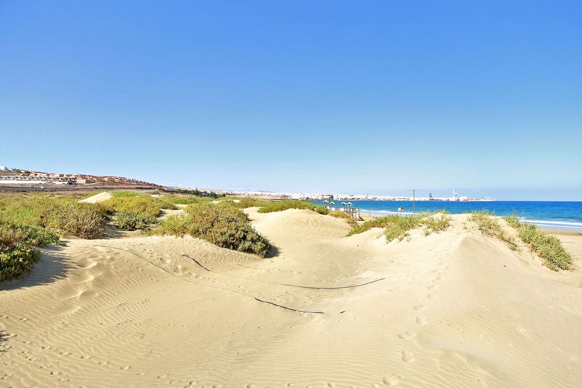 Ubebygd land til salgs i Puerto del Rosario - € 120 000 (Ref: 8457475)